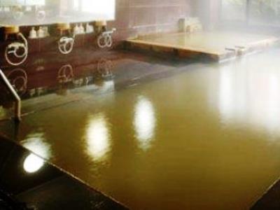 Tsukagoshiya Hotel Shibukawa Eksteriør billede